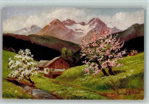 Nr. 1383 von Rammelt-Bürger - Im Schwarzwald AK