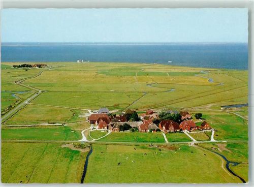 Hooge Hanswarft und Backenswarft Fliegeraufnahme