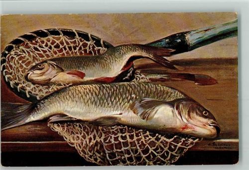 TSN Serie 469 sign Schönian - Fangnetz mit Fischen auf dem Holztisch AK TSN Künstlerkarte