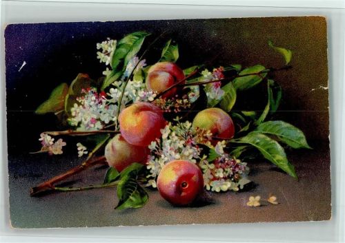 Nr. 953 - Wenau Delila - Früchte, Blüten AK