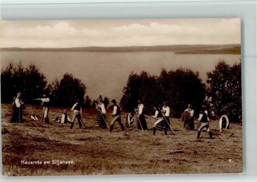 Heuernte am Siljansee - Landwirtschaft - Trinks Bildkarte Serie Schweden 2 Landbewohner u. Städte - Reihe 427 Bild 5 AKEliassons Nr. 2189 - AK Sehr gute Erhaltung