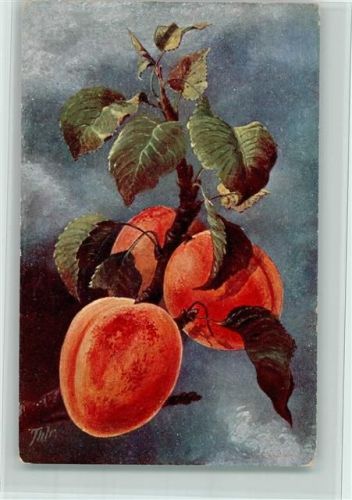Verlag BKW Serie 757-6 Pfirsiche ca 1905 AK