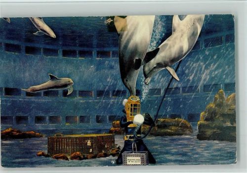 Marineland of the Pacific - Oceanium mit Delfinen - Freizeitpark