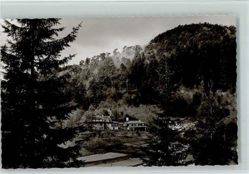 Harzofen Naturfreundehaus Elmstein , sehr gute Erhaltung AK