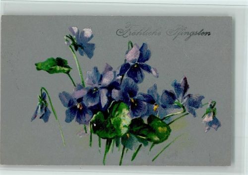 1908 Blumen Veilchen, gute Erhaltung