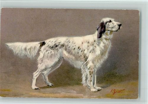 Nr. 94 Cocker Spaniel - Edition Stehli