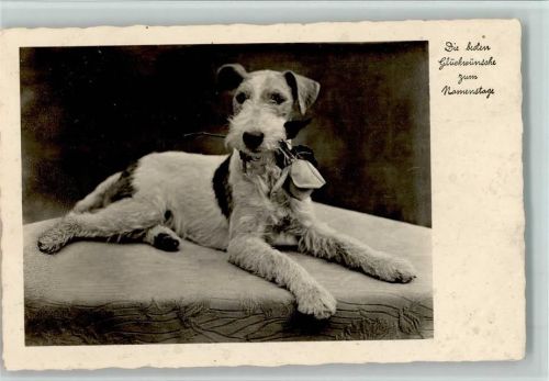 Namenstag - Hund mit Rose im Maul AK