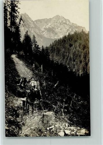 Traunstein 1914 Bergtransport mit Eseln Prägestempel A, Grainer