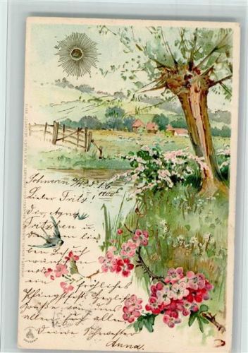 1900 Sonnenschein Karte Serie XIV AK
