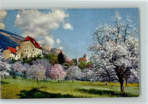 Serie 143 Nr. 2701, Obstblüte in Tirol , AK