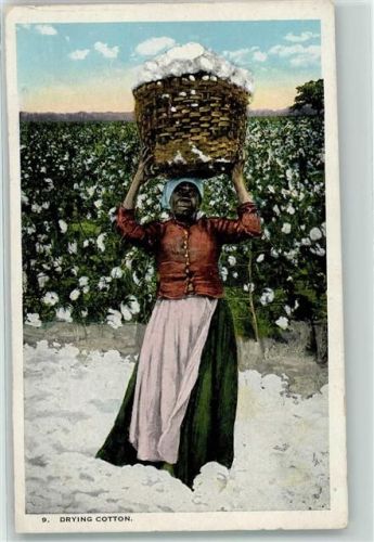 Landwirtschaft Drying Cotton AK Afrikan. Volkstyp 1928