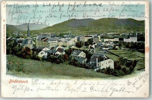 Decin 1902 Kühe
