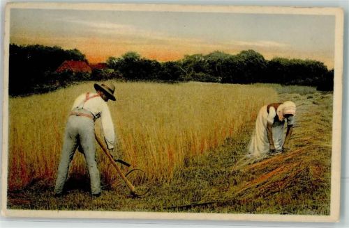 1908 - Ernte Sense Garben