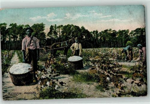 1910 Cotton Pickers AK