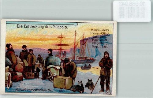 Ankunft in der Walfisch Bai Sammelbild Werbung Hauswaldt Kaisers-Otto Kaffee Zusatz Lithographie