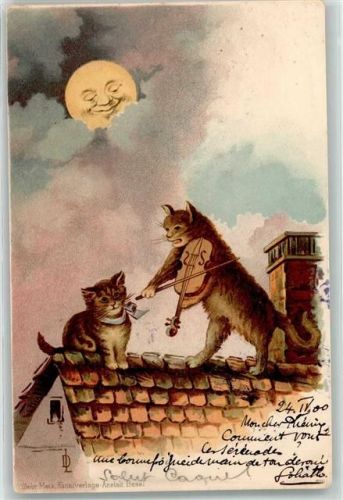 1900 Katze und Mond vermenschlicht , Geige AK