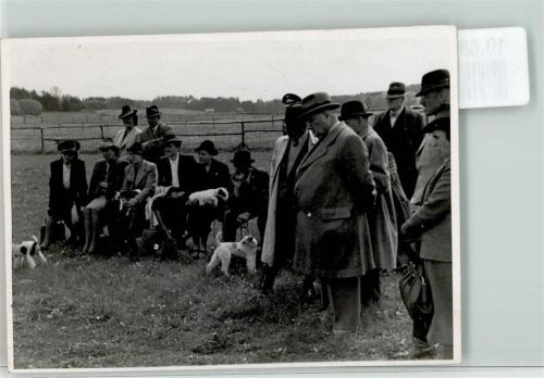W8000 München Drahthaar-Foxterrier Zwinger Peraloh Besitzer Wieleitner Schloss Perlach Terrier FOTO KEINE AK