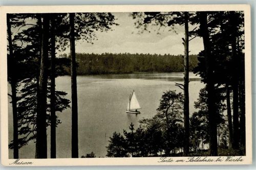 Johannisburg Beldansee Segler Wierzba