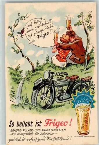 Frigeo Trinktabletten Motorrad
