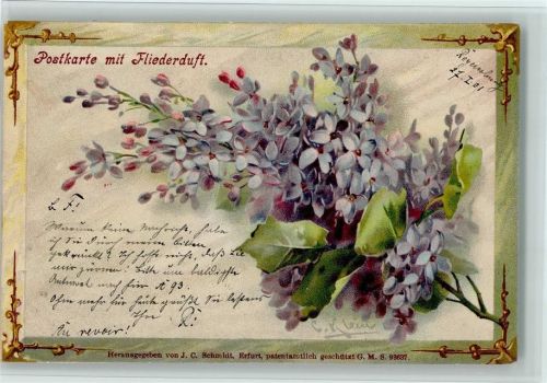 Postkarte mit Fliederduft - sign C. Klein , gute Erhaltung - Schmuckrahmen