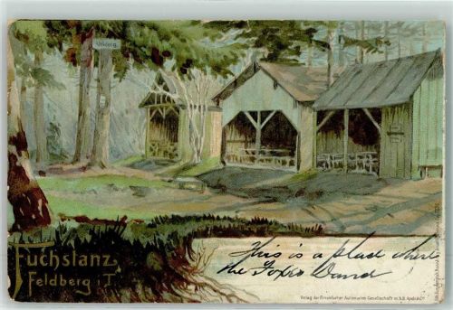61389 W6384 Feldberg , Taunus 1902 Lithographie Fuchstanz Altkönig