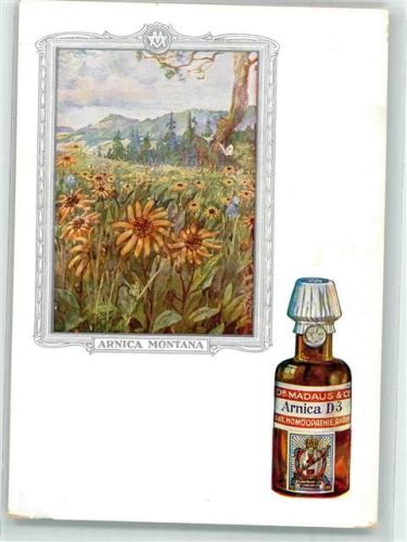 Arnica Homäopathie Heilmittel Bild 1 Dr. Madaus & Co