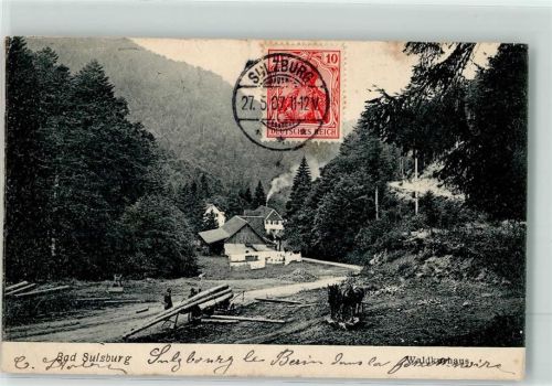 Sulzburg 1907 Holzfäller und Rückepferde vor Gehöft