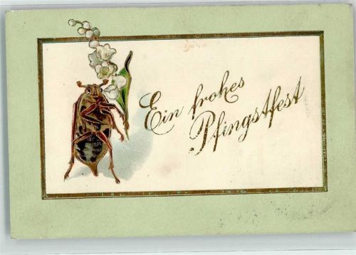 1908 Ein frohes Pfingstfest Maikäfer mit Maiglöckchen Tiere vermenschlicht Lithographie
