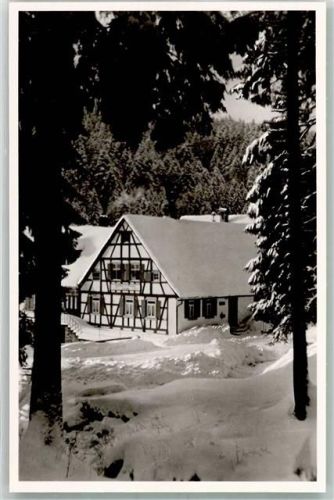 76596 W7564 Hundsbach , Baden Foto AK Gasthaus zur Forelle Winter