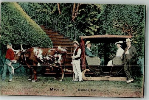 Madeira Ochsenschlitten Tracht
