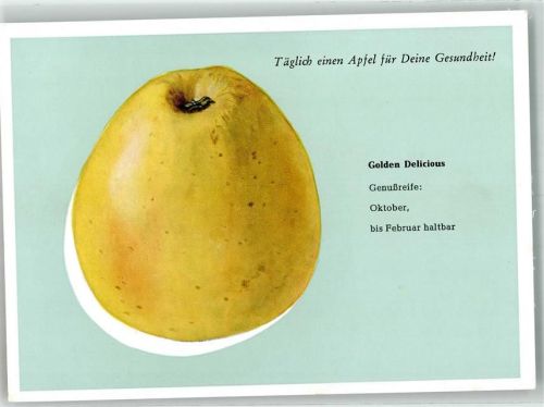 Apfel Golden Delicious