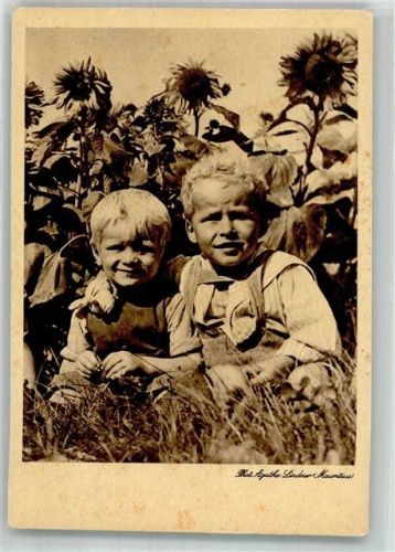 Zwei Kinder im Sonnenblumenfeld Fotograf Agathe Lindner Wohlfahrtskarte Deutsches Frauenwerk Mütterdienst