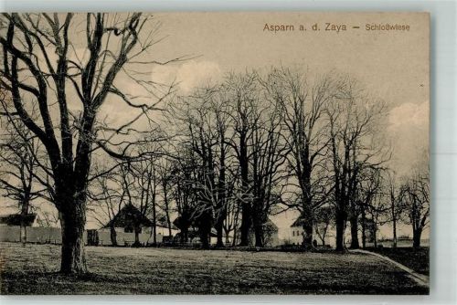 2151 Asparn an der Zaya - Schlosswiese