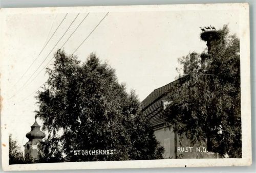3451 Rust im Tullnerfeld Foto AK Storchennest