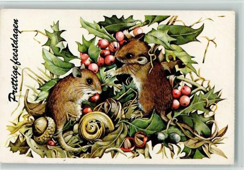 Feldmäuse und Schnecken fressen Stechpalmbeeren1978 AK