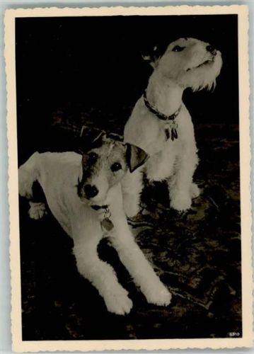 Foto AK