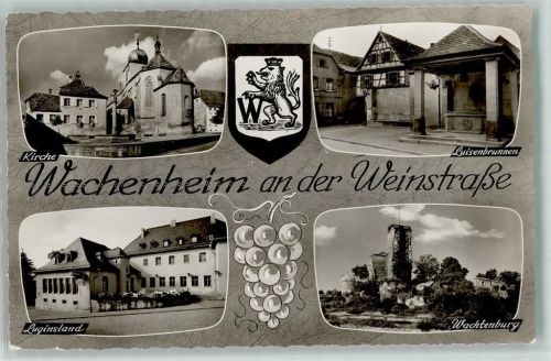 Wachenheim Kirche Luisenbrunnen Luginsland Wachtenburg