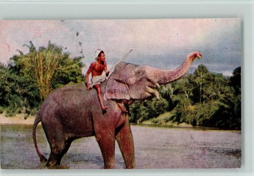Sri Lanka - Elefant mit Reiter