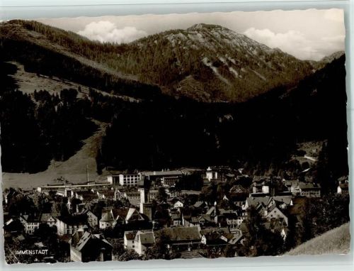 Immenstadt Ortsansicht mit Blick auf Steineberg
