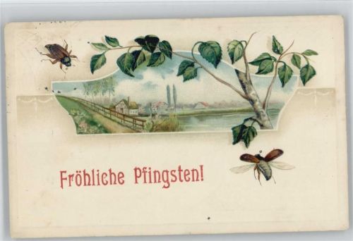 Pfingsten Birkenzweige 1915 AK Maikäfer Prägedruck