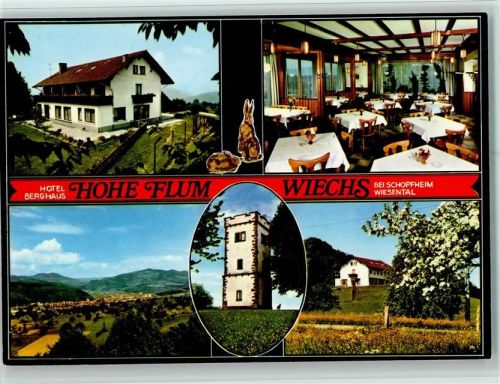 Wiechs Hotel Berghaus Hohe Flum Innenaufnahme Ortsansichten Turm Baumblüte Mehrfachaufnahme