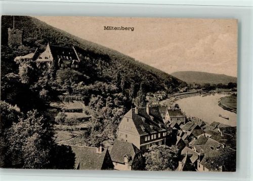 Miltenberg Ortsansicht