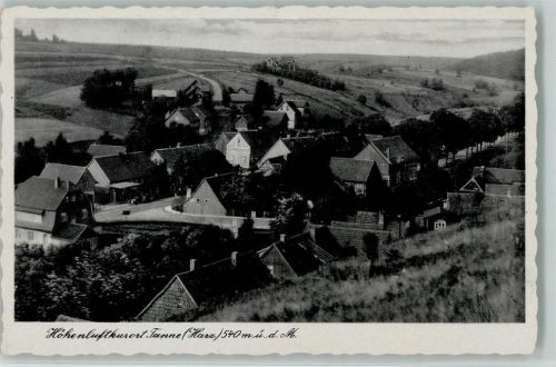 Tanne Blick auf Tanne
