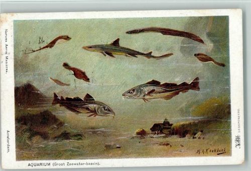 Aquarium - sign Koekkoek 1926 AK
