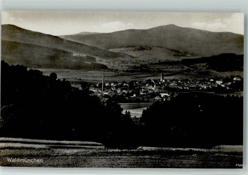 Waldmünchen Blick nach Waldmünchen