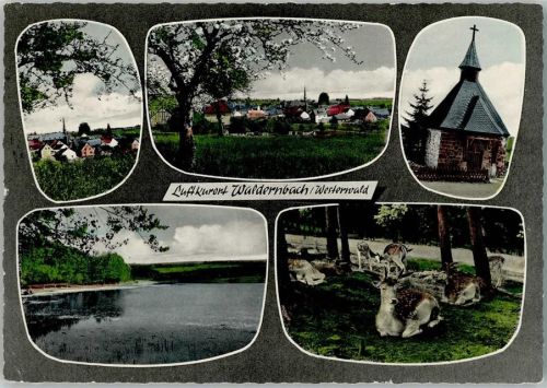 Waldernbach Ortsansichten Kapelle Baumblüte Hirsche Mehrfachaufnahme