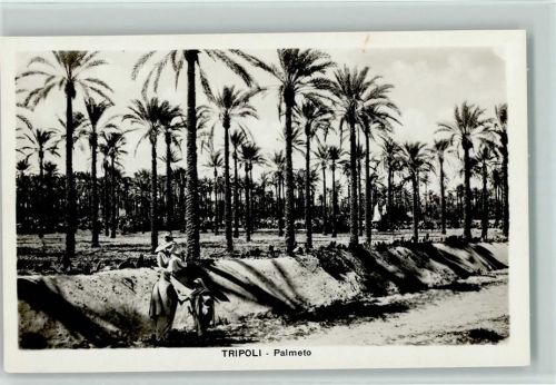 Palmenhain