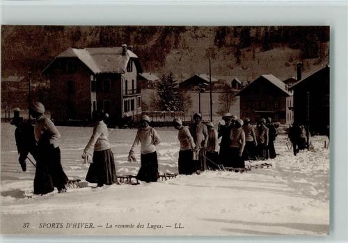 Sports d'Hiver La Remonte des Luges Winter
