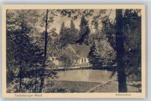 Leopoldstal Waldgaststätte Pension Silbermühle ex Sammlung Busse