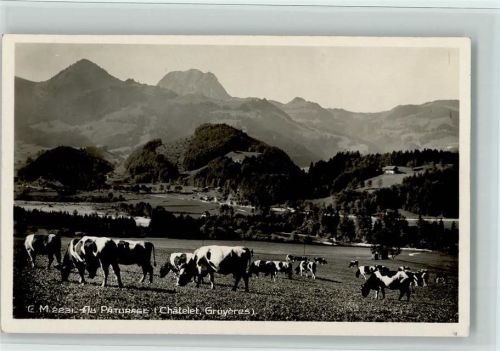 Le Chatelet Orsieres Au Paturage Gruyères